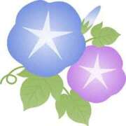 ヒメ日記 2025/07/05 16:59 投稿 まりあ セクシーキャット 神田店