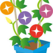 ヒメ日記 2025/07/10 16:59 投稿 まりあ セクシーキャット 神田店