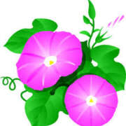 ヒメ日記 2025/07/12 16:59 投稿 まりあ セクシーキャット 神田店