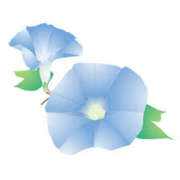 ヒメ日記 2025/07/17 16:59 投稿 まりあ セクシーキャット 神田店