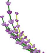 ヒメ日記 2025/07/25 15:59 投稿 まりあ セクシーキャット 神田店