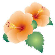 ヒメ日記 2025/07/22 15:58 投稿 まりあ セクシーキャット 神田店