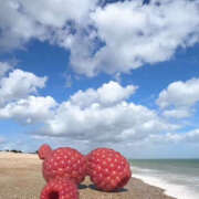 ヒメ日記 2025/07/30 16:59 投稿 まりあ セクシーキャット 神田店