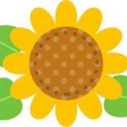 ヒメ日記 2025/08/09 16:59 投稿 まりあ セクシーキャット 神田店