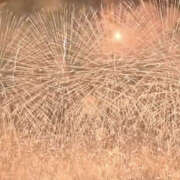 ヒメ日記 2025/08/14 22:44 投稿 まりあ セクシーキャット 神田店