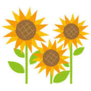 ヒメ日記 2025/08/23 16:59 投稿 まりあ セクシーキャット 神田店