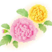 ヒメ日記 2025/09/10 16:59 投稿 まりあ セクシーキャット 神田店