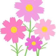 ヒメ日記 2025/09/11 16:59 投稿 まりあ セクシーキャット 神田店