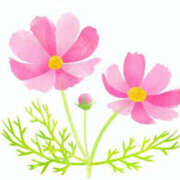 ヒメ日記 2025/09/13 14:59 投稿 まりあ セクシーキャット 神田店