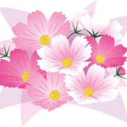 ヒメ日記 2025/09/15 15:59 投稿 まりあ セクシーキャット 神田店