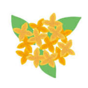 ヒメ日記 2025/09/25 16:59 投稿 まりあ セクシーキャット 神田店