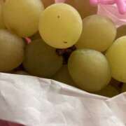 ヒメ日記 2025/09/29 20:55 投稿 まりあ セクシーキャット 神田店