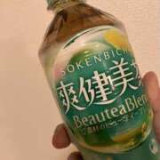 ヒメ日記 2025/10/06 15:59 投稿 まりあ セクシーキャット 神田店