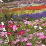 ヒメ日記 2025/10/30 16:59 投稿 まりあ セクシーキャット 神田店