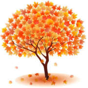 ヒメ日記 2025/11/03 15:59 投稿 まりあ セクシーキャット 神田店