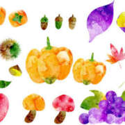 ヒメ日記 2025/11/06 16:59 投稿 まりあ セクシーキャット 神田店