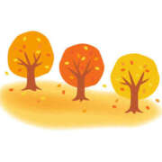 ヒメ日記 2025/11/08 16:59 投稿 まりあ セクシーキャット 神田店