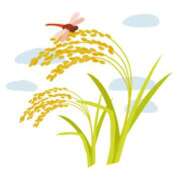 ヒメ日記 2025/11/10 20:59 投稿 まりあ セクシーキャット 神田店