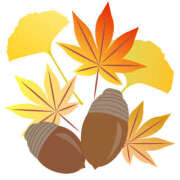 ヒメ日記 2025/11/29 16:59 投稿 まりあ セクシーキャット 神田店