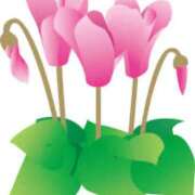 ヒメ日記 2025/12/06 16:59 投稿 まりあ セクシーキャット 神田店