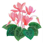 まりあ 出社しました セクシーキャット 神田店