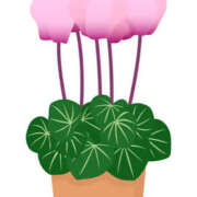 ヒメ日記 2025/12/17 16:59 投稿 まりあ セクシーキャット 神田店