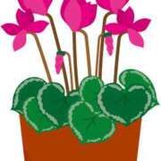 ヒメ日記 2025/12/27 14:59 投稿 まりあ セクシーキャット 神田店