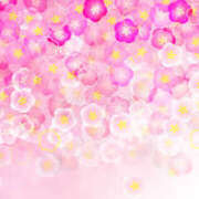 ヒメ日記 2025/12/29 22:00 投稿 まりあ セクシーキャット 神田店