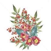 ヒメ日記 2026/01/08 16:59 投稿 まりあ セクシーキャット 神田店