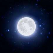 ヒメ日記 2026/01/10 22:44 投稿 まりあ セクシーキャット 神田店