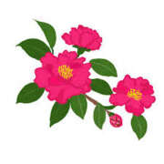 ヒメ日記 2026/01/24 16:59 投稿 まりあ セクシーキャット 神田店