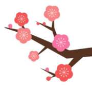 ヒメ日記 2026/02/04 16:59 投稿 まりあ セクシーキャット 神田店