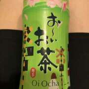 ヒメ日記 2026/02/05 16:59 投稿 まりあ セクシーキャット 神田店