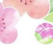 ヒメ日記 2026/02/12 15:30 投稿 まりあ セクシーキャット 神田店