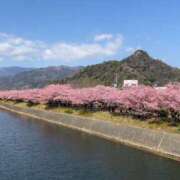 ヒメ日記 2026/02/23 16:59 投稿 まりあ セクシーキャット 神田店