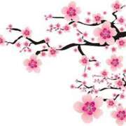 ヒメ日記 2026/02/25 16:59 投稿 まりあ セクシーキャット 神田店