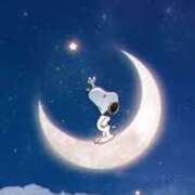 ヒメ日記 2026/03/02 22:44 投稿 まりあ セクシーキャット 神田店