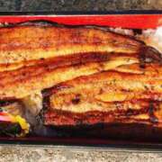 ヒメ日記 2026/03/04 12:50 投稿 まりあ セクシーキャット 神田店