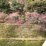 ヒメ日記 2026/03/09 15:59 投稿 まりあ セクシーキャット 神田店