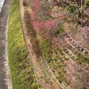 ヒメ日記 2026/03/11 16:59 投稿 まりあ セクシーキャット 神田店