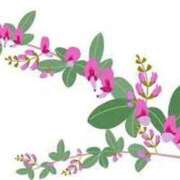 ヒメ日記 2026/03/14 16:59 投稿 まりあ セクシーキャット 神田店