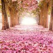 ヒメ日記 2026/03/19 16:59 投稿 まりあ セクシーキャット 神田店