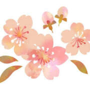 ヒメ日記 2026/03/22 15:30 投稿 まりあ セクシーキャット 神田店