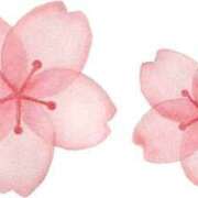 ヒメ日記 2026/03/25 16:59 投稿 まりあ セクシーキャット 神田店