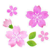 ヒメ日記 2026/03/26 16:59 投稿 まりあ セクシーキャット 神田店