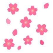 ヒメ日記 2026/03/30 15:59 投稿 まりあ セクシーキャット 神田店