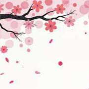 ヒメ日記 2026/04/09 16:59 投稿 まりあ セクシーキャット 神田店