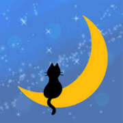 ヒメ日記 2026/04/16 20:59 投稿 まりあ セクシーキャット 神田店