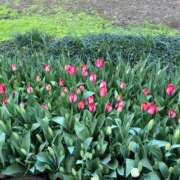 ヒメ日記 2026/04/23 14:59 投稿 まりあ セクシーキャット 神田店