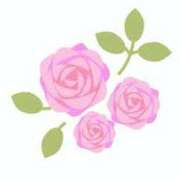ヒメ日記 2026/06/11 16:59 投稿 まりあ セクシーキャット 神田店